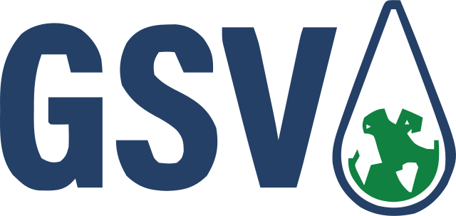 GSV Inspect